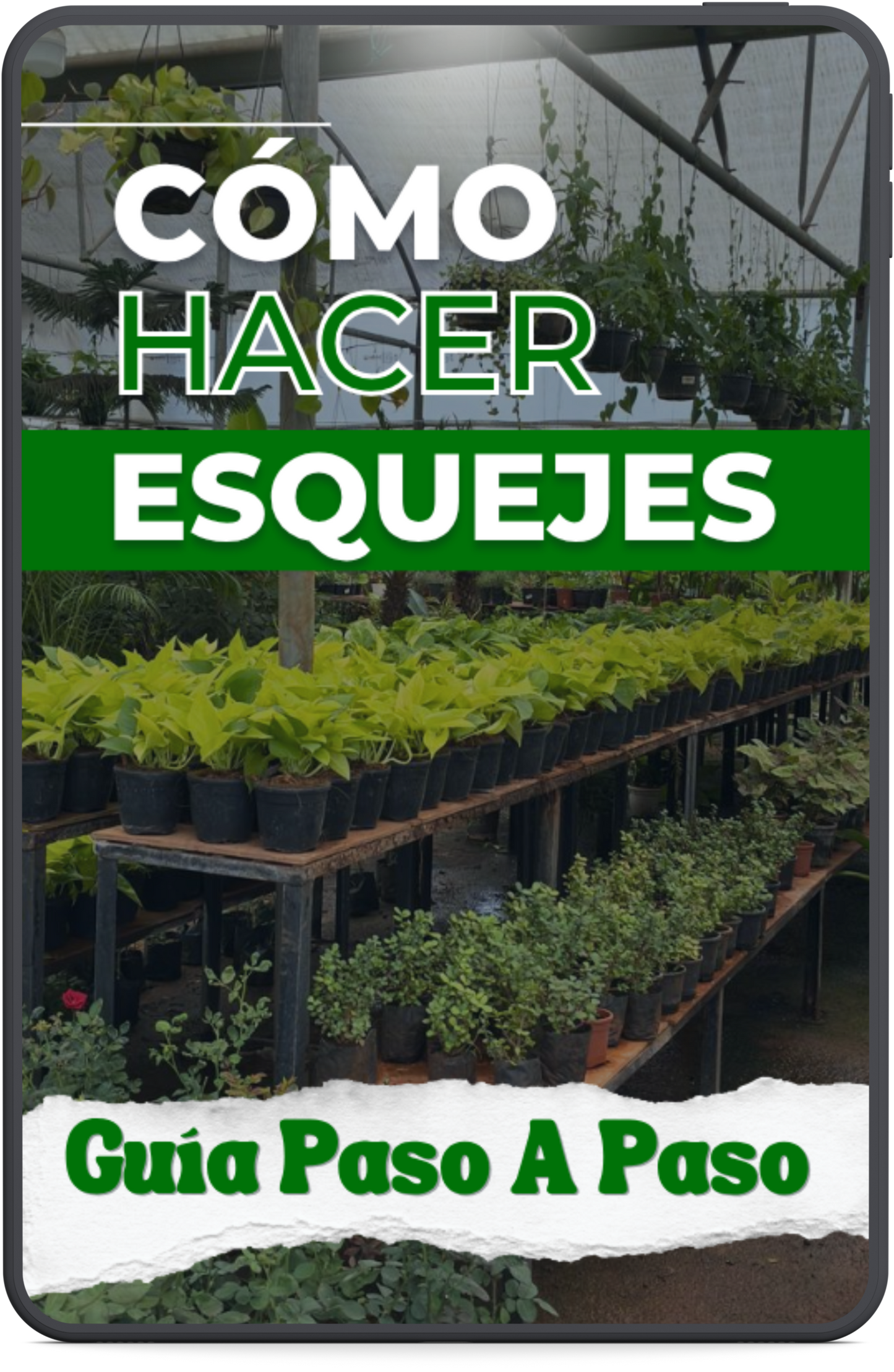 🌱Guía Completa “Cómo Hacer Esquejes” + 5 BONUS GRATIS🎁