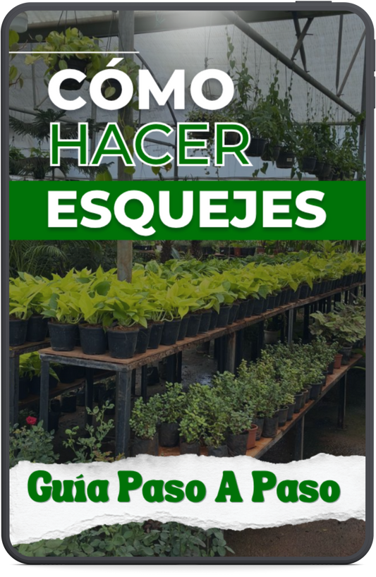 🌱Guía Completa “Cómo Hacer Esquejes” + 5 BONUS GRATIS🎁